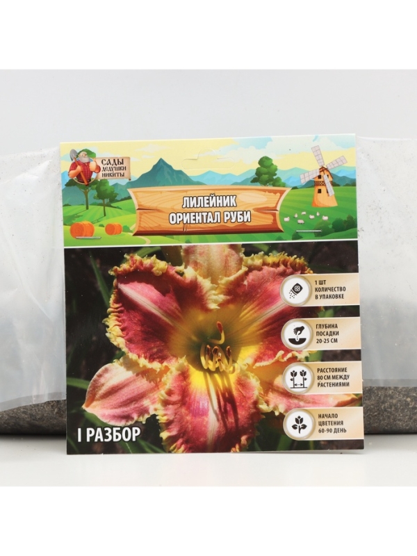 Лилейник Oriental Ruby, многолетник, корневище в пакете с торфогрунтом, р-р I, 1 шт.