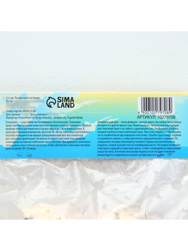 Глоксиния &laquo;Принц Альберт&raquo;, многолетник, комнатный, луковица в пакете с перфорацией, р-р 5/6, 2 шт.