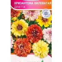 Семена Хризантема Килеватая "Дунетти" 0,5 г