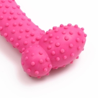 Игрушка жевательная "Любимое лакомство", TPR, 11 х 4 см, розовая