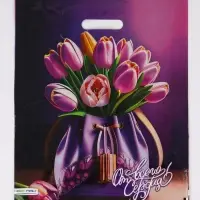 Пакет "Сумочка, полиэтиленовый с вырубной ручкой 38х45 см, 60 мкм