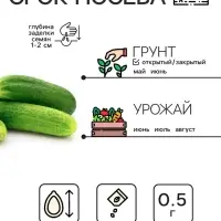 Семена Огурец "Хрустик", 0,5 г