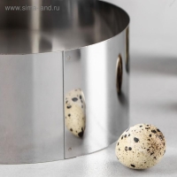 Форма для выпечки и выкладки &laquo;Круг&raquo;, h=6,5 см, d=14 см, нержавеющая сталь