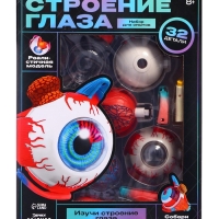 ЭВРИКИ Набор для опытов "Строение глаза", анатомическая модель ЭВРИКИ Набор для опытов "Строение глаза", анатомическая модель