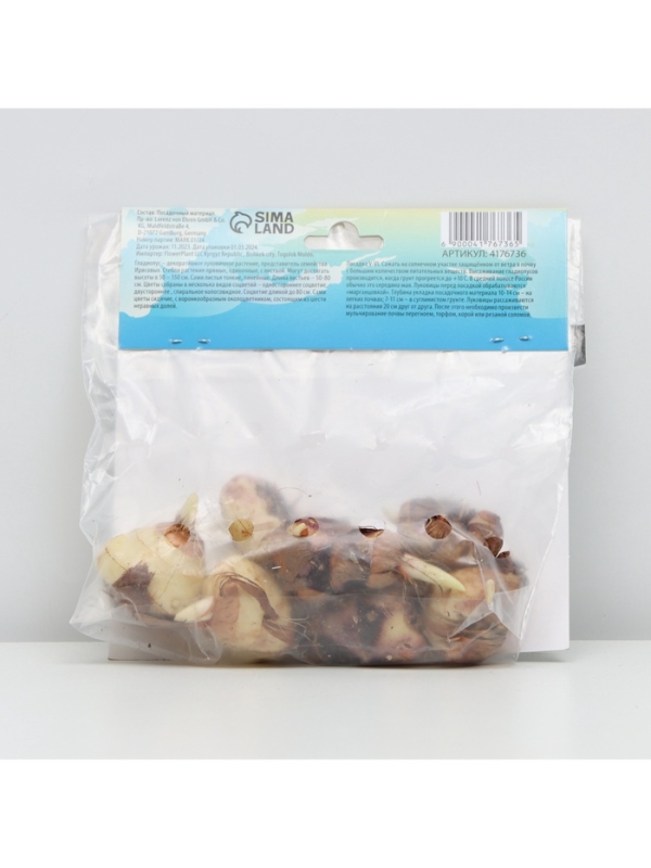 Гладиолус Низкорослый &laquo;Принц Клаус&raquo;, луковица цветов в пакете с перфорацией, р-р 10+, 7 шт.