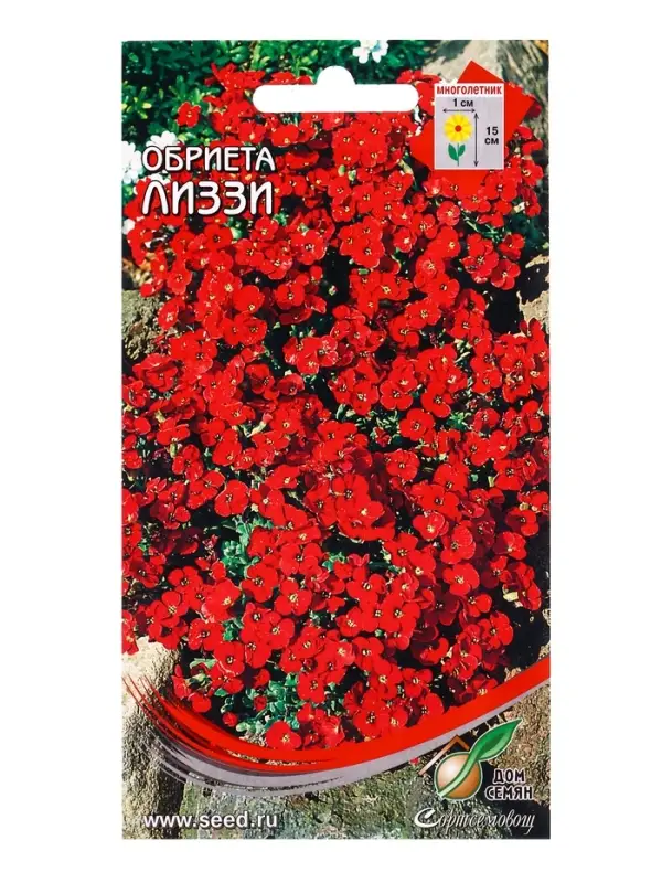 Семена цветов Обриета Лиззи 60 шт