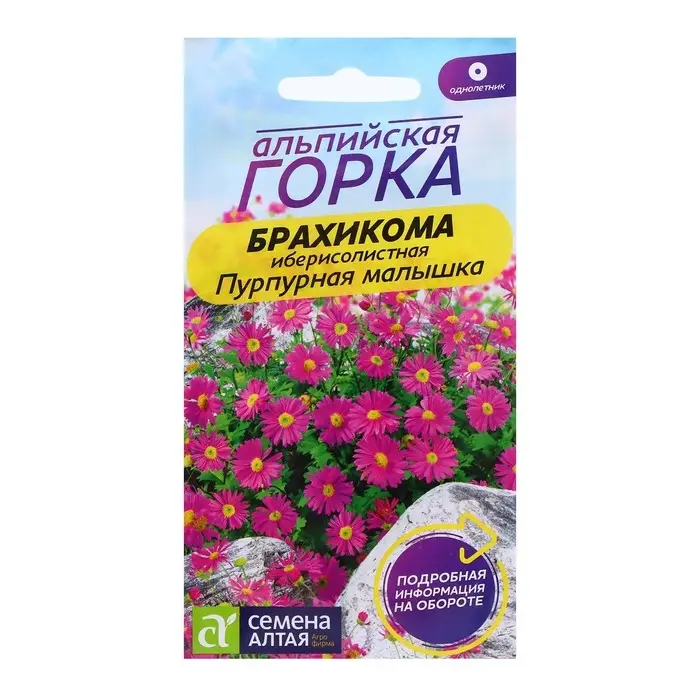 Семена Брахикома "Пурпурная малышка", ц/п,  0,05 гр.