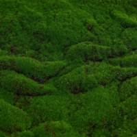 Мох искусственный, декоративный, полотно 1 &times; 1 м, рельефный, горный, зелёный, Greengo