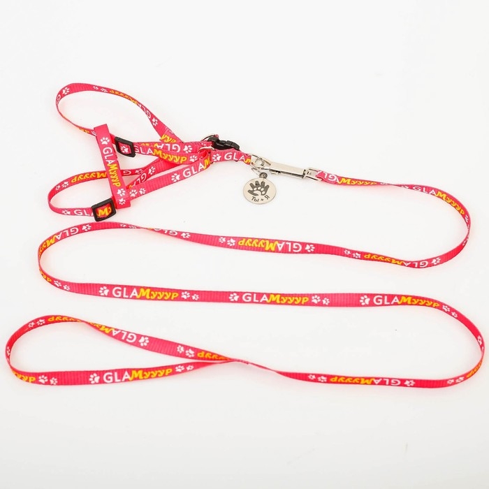 Комплект &laquo;Ты и я&raquo;, шлейка 26-39 см, поводок 120х1 см, медальон