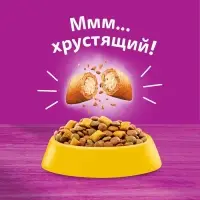 Сухой корм Whiskas для кошек, курица/индейка, подушечки, 1,3 кг