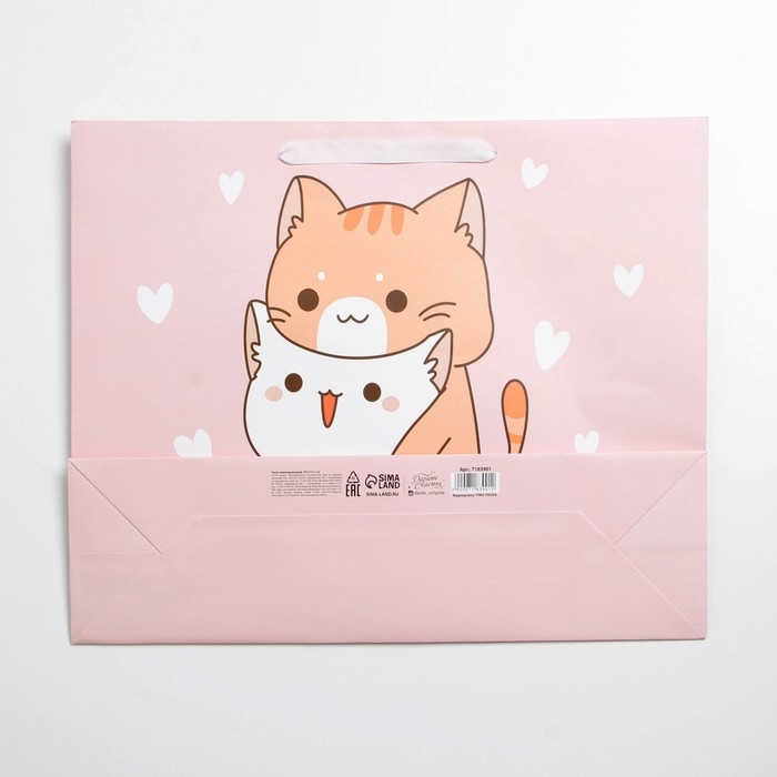 Пакет подарочный ламинированный, упаковка, &laquo;Вместе&raquo;, L 40 х 31 х 11,5 см