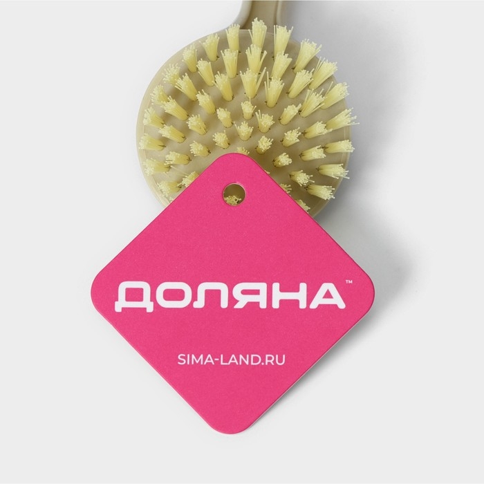 Щётка для посуды Доляна, 21&times;6 см