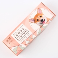 Набор &laquo;Ромбы&raquo;, застёжка - фастекс, поводок 2 м и ошейник 28-46 см