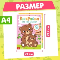 Раскраски для малышей набор &laquo;Животные&raquo;, с карандашами 6 цветов, 2 шт. по 16 стр.