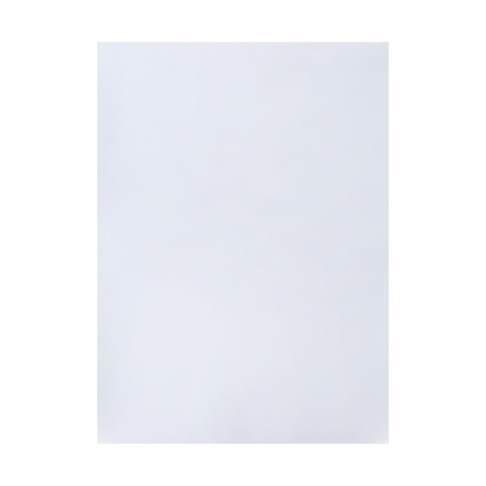 Набор ватманов чертёжных А3, 160 г/м&sup2;, 10 листов