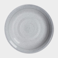 Тарелка, 1 л, цвет МИКС