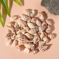 Ракушки природные декоративные "Бабилония" набор 100 гр