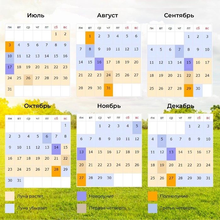 Семена Редис "18 дней", 3 г  набор 2 шт