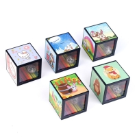 Фокус &laquo;Копилка&raquo;, виды МИКС