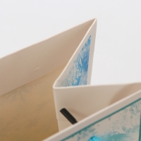 Пакет ламинированный &laquo;Сказке быть!&raquo;, MS 18 &times; 23 &times; 10 см