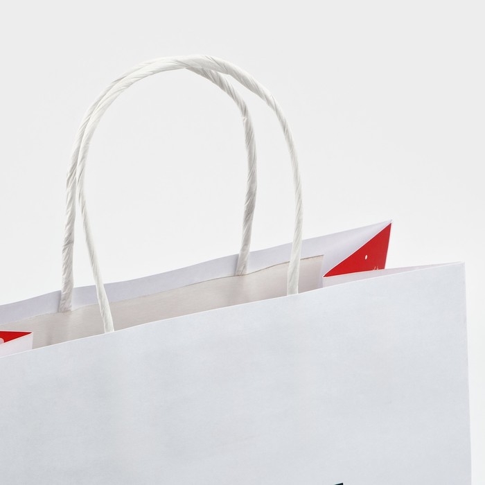 Пакет подарочный новогодний &laquo;Ты тоже не подарок&raquo;, 22 х 22 х 11 см