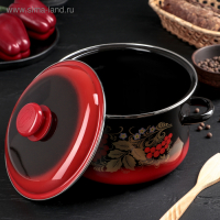 Кастрюля эмалированная &laquo;Рябинушка&raquo;, 4 л, индукция