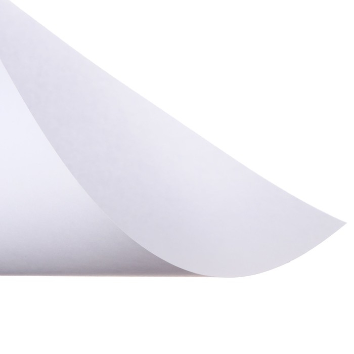 Набор ватманов чертёжных А2, 160 г/м&sup2;, 20 листов