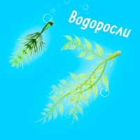 Набор морских животных &laquo;Морской мир&raquo;, 6 фигурок, декор