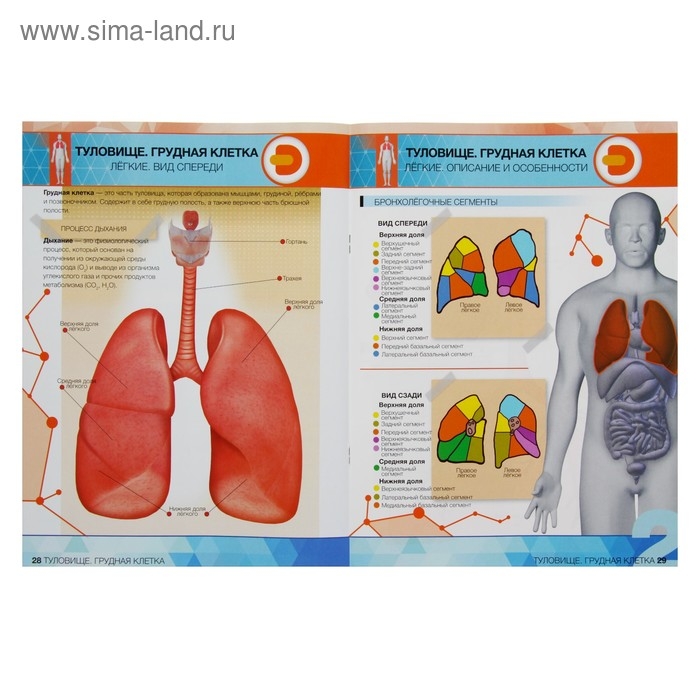 Энциклопедия 4D в дополненной реальности «Анатомия: органы человека» Энциклопедия 4D в дополненной реальности «Анатомия: органы человека»