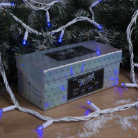 Гирлянда &laquo;Нить&raquo; 10 м, IP65, УМС, белая нить, 100 LED, свечение синее, 220 В