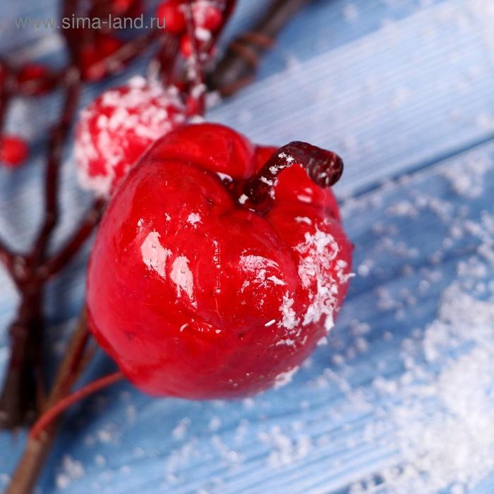 Декор "Зимнее очарование" веточка с яблочками, 23 см