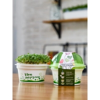 Набор для выращивания &laquo;Моя микрозелень&raquo;, базилик