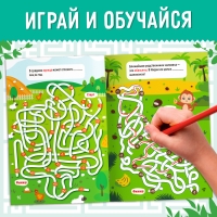Набор обучающих книг &laquo;Лабиринты и факты&raquo;, 6 шт.