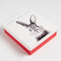 Новогодний подарочный набор "Зайка", варежки р-р 19 и аксессуары