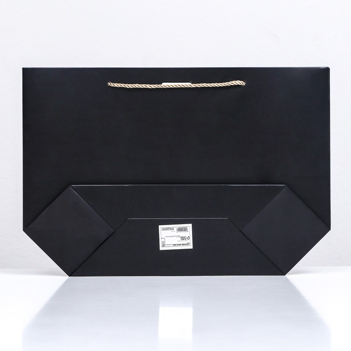 Пакет подарочный ламинированный, с лентой &laquo;Чёрный&raquo;, горизонтальный, 26&times;25&times;11 см