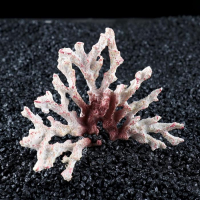 Декор для аквариума "Ветка коралла", 12 х 7 х 10 см Декор для аквариума "Ветка коралла", 12 х 7 х 10 см