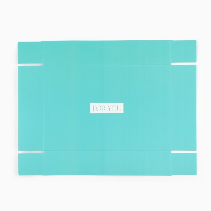 Кондитерская упаковка, коробка для макарун с PVC крышкой, Best wishes, 17 х 12 х 3 см