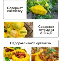 Семена Патиссон "Копейка", 0,6 г