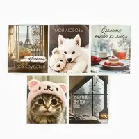 Набор мини-открыток в коробке со скрепками &laquo;Котики&raquo;, 35 штук, 8 x 10 см