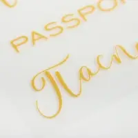 Термонаклейка с тиснением &laquo;Паспорт&raquo;, 7 &times; 6 см