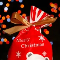 Пакет полиэтиленовый подарочный &laquo;Белый медведь&raquo;, с завязками, 14.5&times;22.5 см