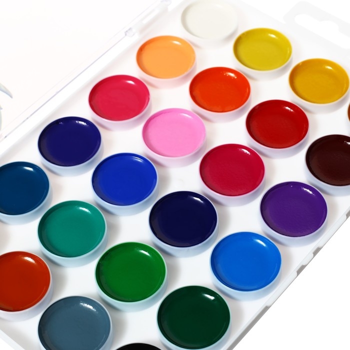 Акварель 24 цвета ErichKrause ArtBerry, яркая палитра с УФ-защитой, пластик, европодвес, без кисти