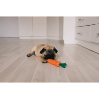 Игрушка канатная "Морковь", до 18 см, до 50 г, оранжевая/зелёная