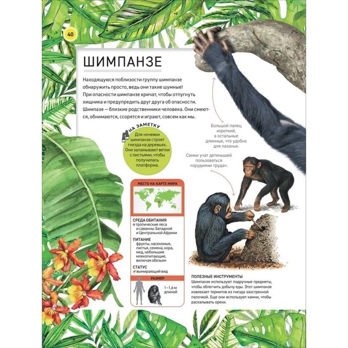 Энциклопедия &laquo;Удивительные животные&raquo;