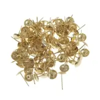 Гвозди ТУНДРА, декоративные, обивочные, 10&times;18.5 мм, золото, 100 шт.