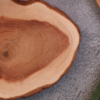 Подставка под кружку, цельная, 8-10 см, можжевельник