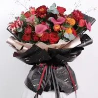 Плёнка матовая &laquo;Звёздная ночь&raquo; красный, 57&times;57 см &plusmn;5% см