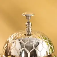 Звонок настольный &laquo;Черепаха&raquo; 12х19х10 см