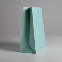 Пакет подарочный, упаковка, &laquo;Мятный&raquo;, 26 х 32 х 12 см