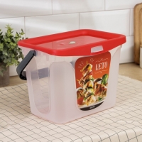 Контейнер для шашлыка c ручкой &laquo;Leto&raquo;, 6 л, пластик, прозрачный, крышка красная